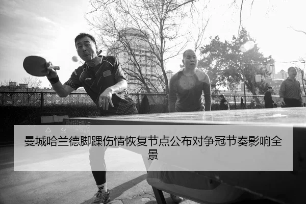 man-cheng-ha-lan-de-jiao-huai-shang-qing-hui-fu-jie-dian-gong-bu-dui-zheng-guan-jie-zou-ying-xiang-quan-jing-2-236.jpg